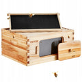 Wooden Observation Beehive with Acrylic Viewing Windows